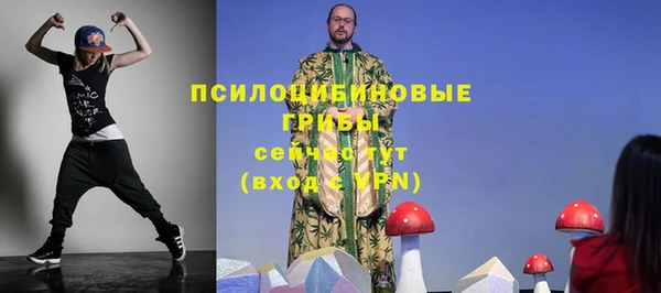 героин Алексин