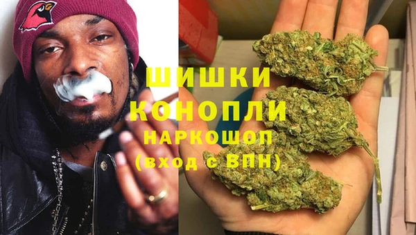 шишки Алексеевка