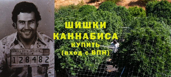 шишки Алексеевка