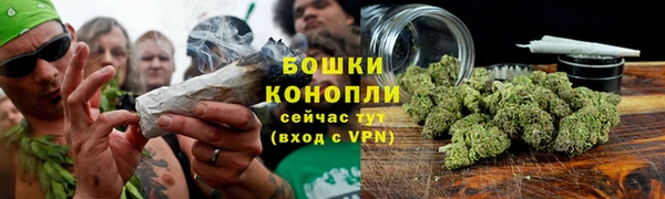 шишки Алексеевка