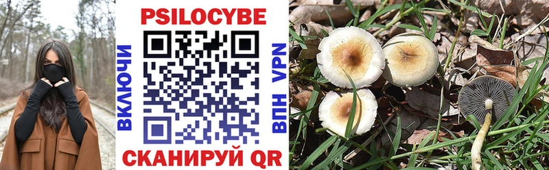 Псилоцибиновые грибы Psilocybine cubensis хочу наркоту Любим